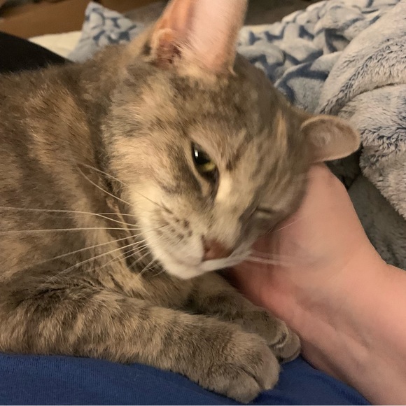 Meet your Posher, Jenni!! Have a lovely day! - Picture 6 of 16